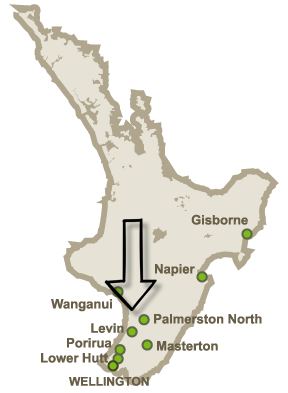 nz-map.png