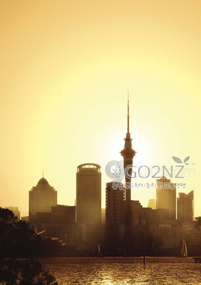 2015-03-05 오전 11-40-16.jpg