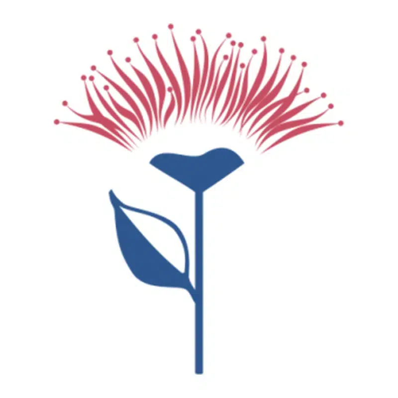 Buckland Beach Primary School